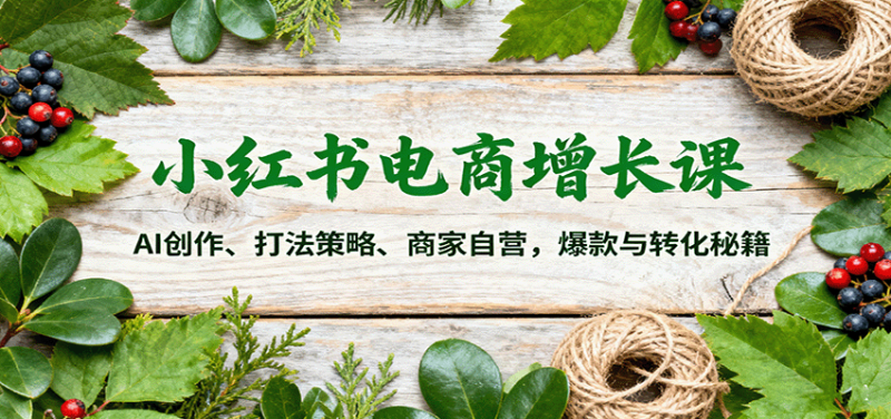 小红书电商增长课：AI创作、打法策略、商家自营，爆款与转化秘籍网创-网赚-电商-tk-出海-AI-抖音-快手-小红书-视频号-玩法-创业-小程序-公众号-私域-s粉网创智库
