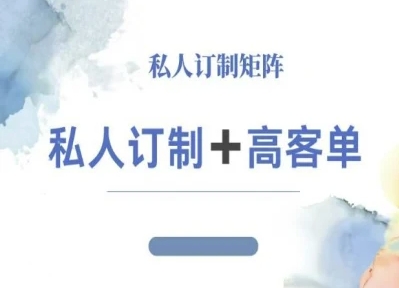 小红书自媒体咨询师IP教程，私人定制+高客单网创-网赚-电商-tk-出海-AI-抖音-快手-小红书-视频号-玩法-创业-小程序-公众号-私域-s粉网创智库