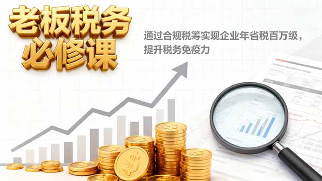 老板税务必修课，通过合规税筹实现企业年省税百万级，提升税务免疫力网创-网赚-电商-tk-出海-AI-抖音-快手-小红书-视频号-玩法-创业-小程序-公众号-私域-s粉网创智库