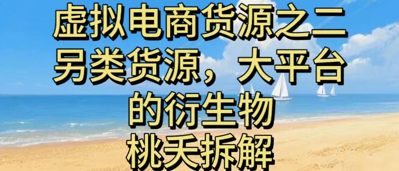 虚拟电商之二—另类的货源，大平台的衍生物 - 网创智库网创-网赚-电商-tk-出海-AI-抖音-快手-小红书-视频号-玩法-创业-小程序-公众号-私域-s粉网创智库