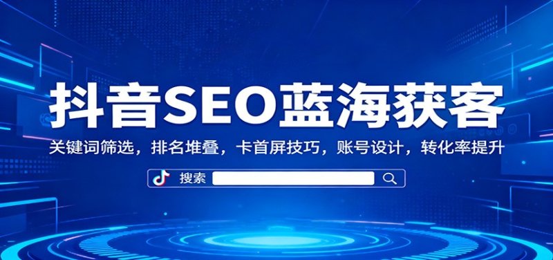 抖音SEO蓝海获客：关键词筛选，排名堆叠，卡首屏技巧，账号设计，转化率提升网创-网赚-电商-tk-出海-AI-抖音-快手-小红书-视频号-玩法-创业-小程序-公众号-私域-s粉网创智库