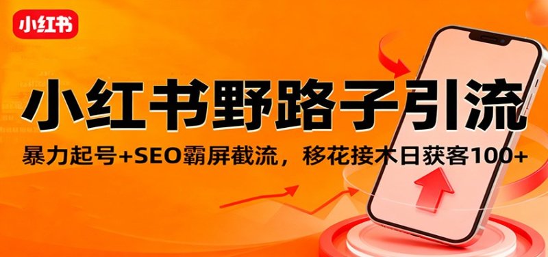 小红书野路子引流，暴力起号+SEO霸屏截流，移花接木日获客100+网创-网赚-电商-tk-出海-AI-抖音-快手-小红书-视频号-玩法-创业-小程序-公众号-私域-s粉网创智库