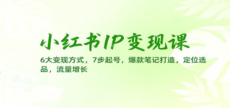 小红书IP变现课:6大变现方式,7步起号,爆款笔记打造,定位选品,流量增长网创-网赚-电商-tk-出海-AI-抖音-快手-小红书-视频号-玩法-创业-小程序-公众号-私域-s粉网创智库