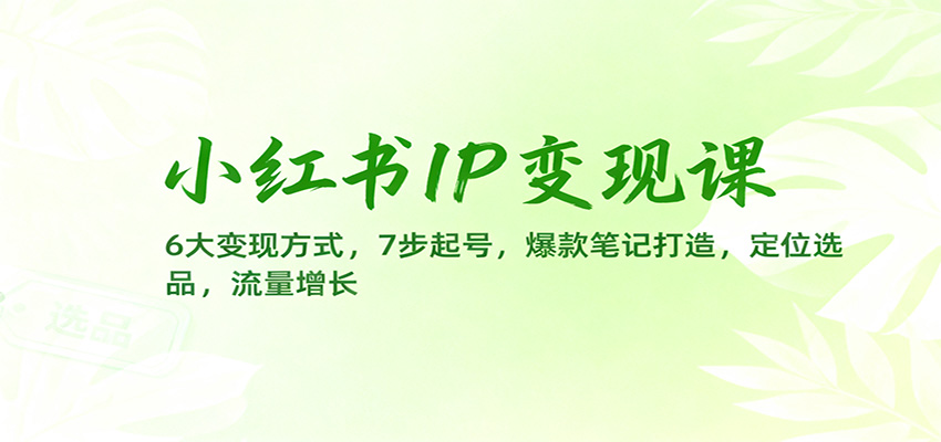小红书IP变现课:6大变现方式,7步起号,爆款笔记打造,定位选品,流量增长 - 网创智库网创-网赚-电商-tk-出海-AI-抖音-快手-小红书-视频号-玩法-创业-小程序-公众号-私域-s粉网创智库
