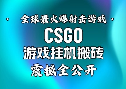 【年底大揭秘】基于全球最火爆的射击CSGO游戏挂G搬砖，日入5张+，震撼公开网创-网赚-电商-tk-出海-AI-抖音-快手-小红书-视频号-玩法-创业-小程序-公众号-私域-s粉网创智库