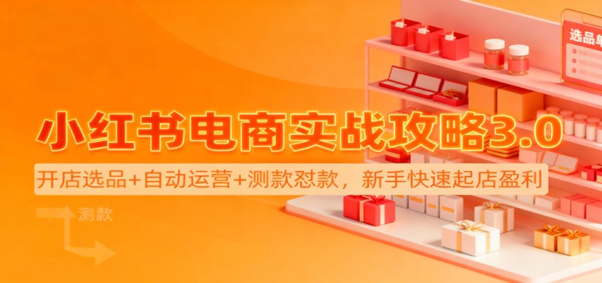 小红书电商实战攻略3.0:开店选品+自动运营+测款怼款,新手快速起店盈利 - 网创智库网创-网赚-电商-tk-出海-AI-抖音-快手-小红书-视频号-玩法-创业-小程序-公众号-私域-s粉网创智库