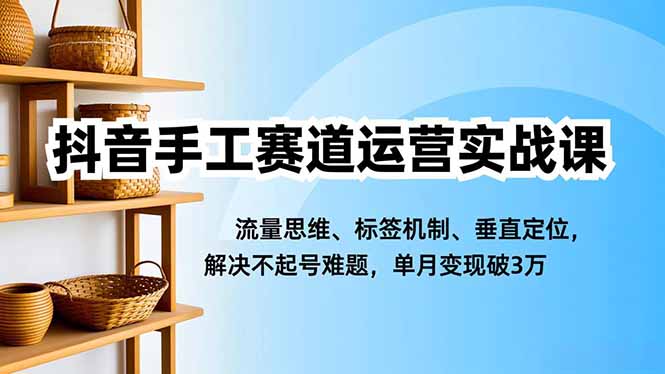 抖音手工赛道运营实战课，流量思维、标签机制、垂直定位，解决不起号难题，单月变现破3万网创-网赚-电商-tk-出海-AI-抖音-快手-小红书-视频号-玩法-创业-小程序-公众号-私域-s粉网创智库