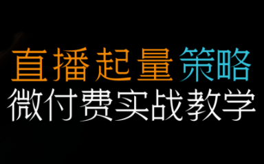 半野老师·直播带货起量与微付费必学课视频号网创-网赚-电商-tk-出海-AI-抖音-快手-小红书-视频号-玩法-创业-小程序-公众号-私域-s粉网创智库