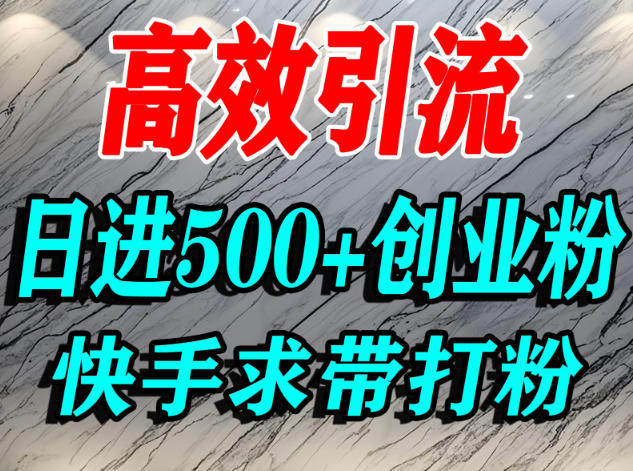 怎么打创业粉？快手求带视角精准引流创业粉，宝妈、学生群体日进500+精准流量网创-网赚-电商-tk-出海-AI-抖音-快手-小红书-视频号-玩法-创业-小程序-公众号-私域-s粉网创智库