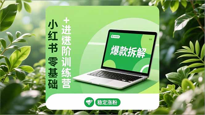 小红书零基础+高阶训练营：安全养号、爆款拆解、长效运营，实现稳定涨粉与变现网创-网赚-电商-tk-出海-AI-抖音-快手-小红书-视频号-玩法-创业-小程序-公众号-私域-s粉网创智库