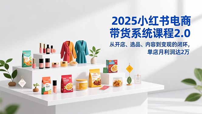 2025小红书电商带货系统课程2.0，从开店、选品、内容到变现的闭环，单店月利润达2万网创-网赚-电商-tk-出海-AI-抖音-快手-小红书-视频号-玩法-创业-小程序-公众号-私域-s粉网创智库