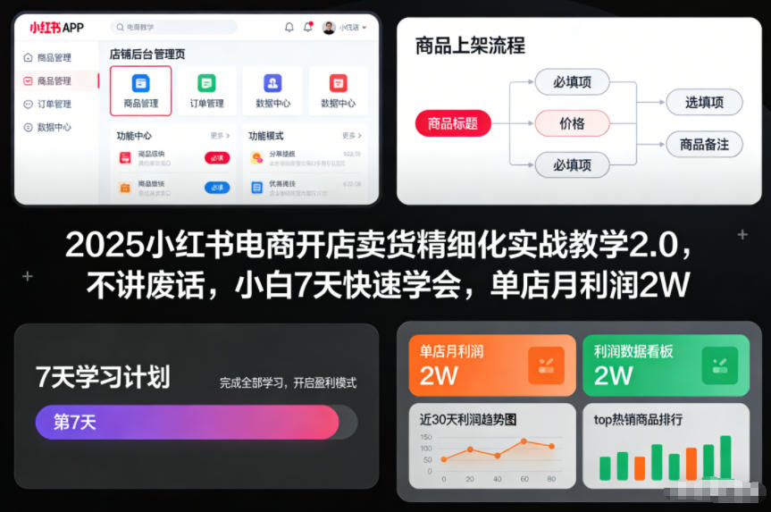 2025小红书电商开店卖货精细化实战教学2.0，不讲废话，小白7天快速学会，单店月利润2W - 网创智库网创-网赚-电商-tk-出海-AI-抖音-快手-小红书-视频号-玩法-创业-小程序-公众号-私域-s粉网创智库
