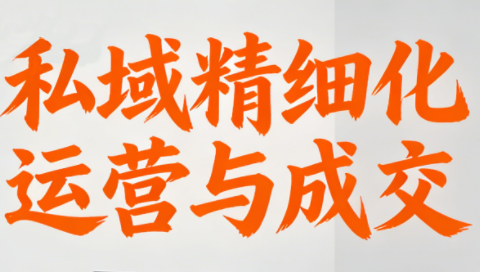 楚老师·私域精细化运营与成交网创-网赚-电商-tk-出海-AI-抖音-快手-小红书-视频号-玩法-创业-小程序-公众号-私域-s粉网创智库