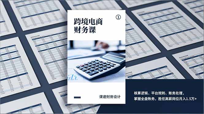 跨境电商财务课，核算逻辑、平台规则、账务处理，掌握全盘账务，胜任高薪岗位月入1.5万+网创-网赚-电商-tk-出海-AI-抖音-快手-小红书-视频号-玩法-创业-小程序-公众号-私域-s粉网创智库