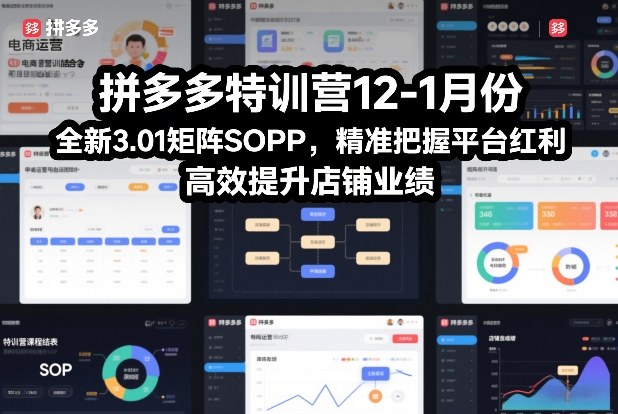 拼多多特训营12-1月份，全新3.01矩阵Sop，精准把握平台红利，高效提升店铺业绩网创-网赚-电商-tk-出海-AI-抖音-快手-小红书-视频号-玩法-创业-小程序-公众号-私域-s粉网创智库