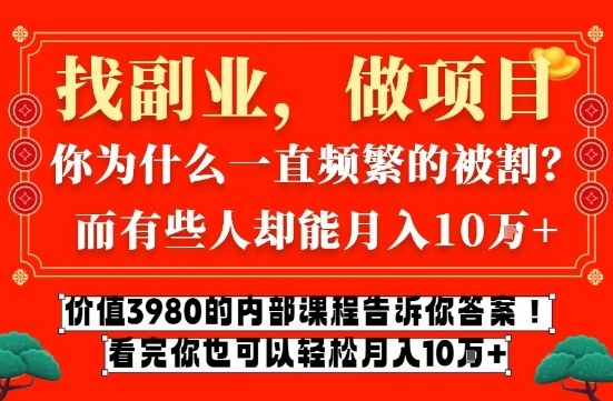 价值3980的网创内部课程，告诉你互联网创业月入10个W的秘密【揭秘】网创-网赚-电商-tk-出海-AI-抖音-快手-小红书-视频号-玩法-创业-小程序-公众号-私域-s粉网创智库