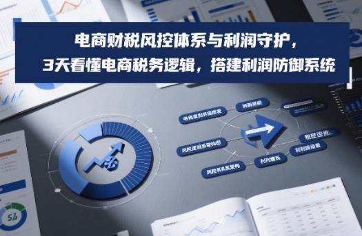 电商财税风控体系与利润守护，3天看懂电商税务逻辑，搭建利润防御系统网创-网赚-电商-tk-出海-AI-抖音-快手-小红书-视频号-玩法-创业-小程序-公众号-私域-s粉网创智库