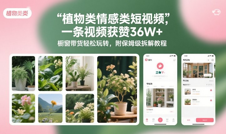植物类情感类短视频，一条视频获赞36W+，橱窗带货轻松玩转，附保姆级拆解教程网创-网赚-电商-tk-出海-AI-抖音-快手-小红书-视频号-玩法-创业-小程序-公众号-私域-s粉网创智库