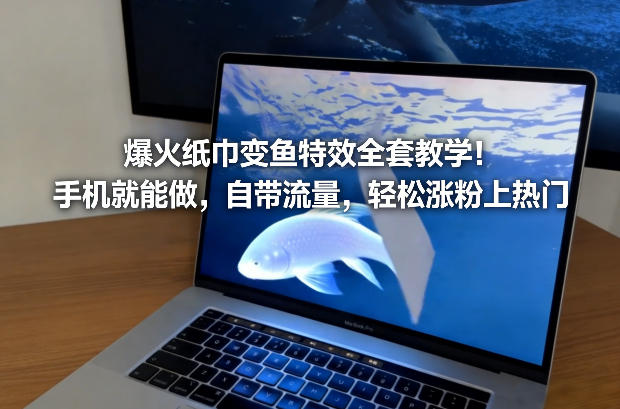 爆火纸巾变鱼特效全套教学！手机就能做，自带流量，轻松涨粉上热门网创-网赚-电商-tk-出海-AI-抖音-快手-小红书-视频号-玩法-创业-小程序-公众号-私域-s粉网创智库