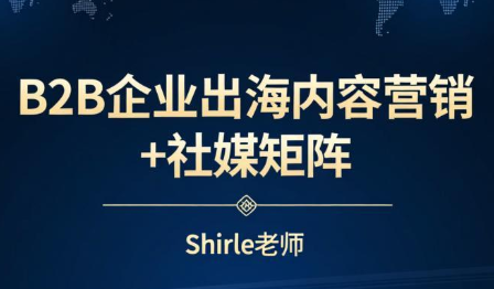 shirle老师·B2B企业出海内容营销+社媒矩阵网创-网赚-电商-tk-出海-AI-抖音-快手-小红书-视频号-玩法-创业-小程序-公众号-私域-s粉网创智库