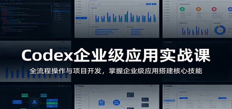 Codex企业级应用实战课：全流程操作与项目开发，掌握企业级应用搭建核心技能网创-网赚-电商-tk-出海-AI-抖音-快手-小红书-视频号-玩法-创业-小程序-公众号-私域-s粉网创智库