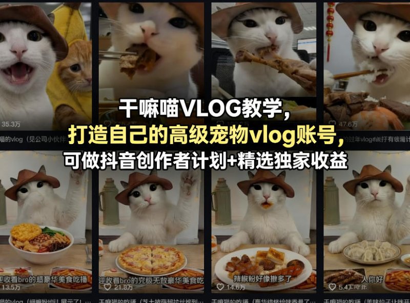 干嘛喵VLOG教学，打造自己的高级宠物vlog账号，可做抖音创作者计划+精选独家收益网创-网赚-电商-tk-出海-AI-抖音-快手-小红书-视频号-玩法-创业-小程序-公众号-私域-s粉网创智库