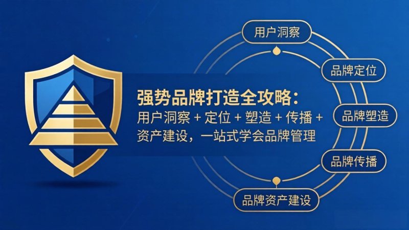 强势品牌打造全攻略：用户洞察 + 定位 + 塑造 + 传播 + 资产建设，一站式学会品牌管理网创-网赚-电商-tk-出海-AI-抖音-快手-小红书-视频号-玩法-创业-小程序-公众号-私域-s粉网创智库