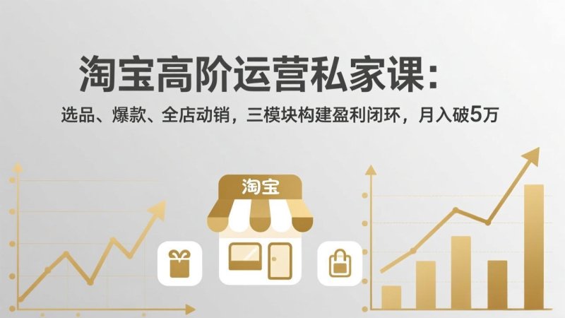 淘宝高阶运营私家课(更新26年4月网创-网赚-电商-tk-出海-AI-抖音-快手-小红书-视频号-玩法-创业-小程序-公众号-私域-s粉网创智库