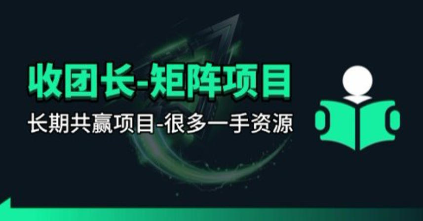 【团长合作】视频矩阵项目_招发手矩阵+剪辑师，共赢项目【揭秘】 - 网创智库网创-网赚-电商-tk-出海-AI-抖音-快手-小红书-视频号-玩法-创业-小程序-公众号-私域-s粉网创智库