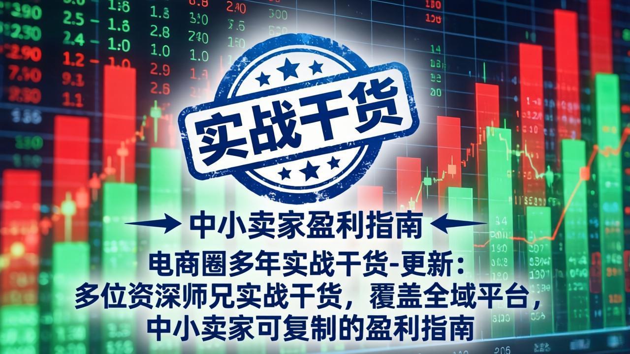 电商圈多年实战干货-更新5月10：多位资深师兄实战干货/覆盖全域平台，中小卖家可复制的盈利指南 - 网创智库网创-网赚-电商-tk-出海-AI-抖音-快手-小红书-视频号-玩法-创业-小程序-公众号-私域-s粉网创智库