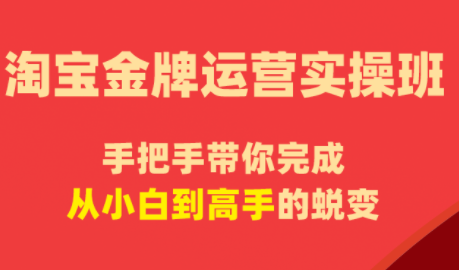 飓风电商·淘宝金牌运营实操班网创-网赚-电商-tk-出海-AI-抖音-快手-小红书-视频号-玩法-创业-小程序-公众号-私域-s粉网创智库