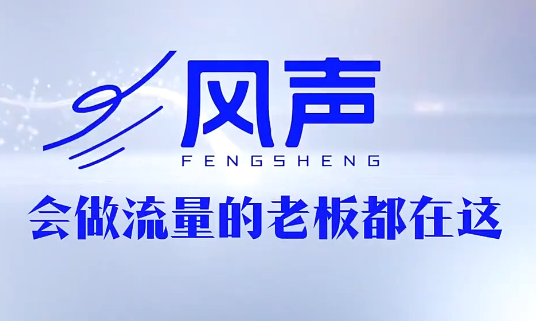 董十一·风声短视频AI获客年度会员网创-网赚-电商-tk-出海-AI-抖音-快手-小红书-视频号-玩法-创业-小程序-公众号-私域-s粉网创智库