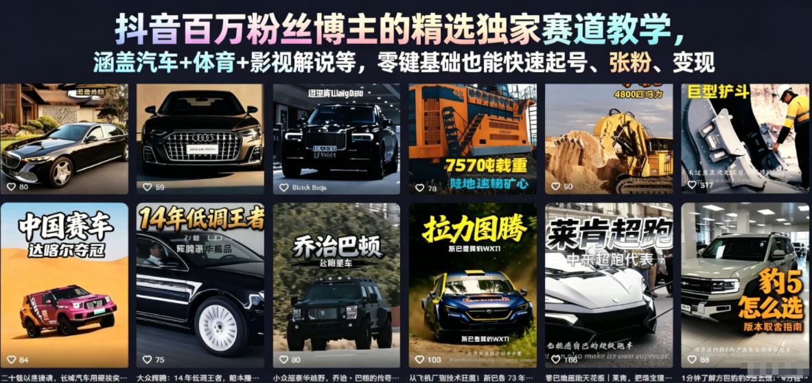抖音百万粉丝博主的精选独家赛道教学，涵盖汽车+体育+影视解说等，零基础也能快速起号、涨粉、变现 - 网创智库网创-网赚-电商-tk-出海-AI-抖音-快手-小红书-视频号-玩法-创业-小程序-公众号-私域-s粉网创智库