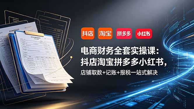 电商财务全套实操课：抖店淘宝拼多多小红书，店铺取数+记账+报税一站式解决网创-网赚-电商-tk-出海-AI-抖音-快手-小红书-视频号-玩法-创业-小程序-公众号-私域-s粉网创智库