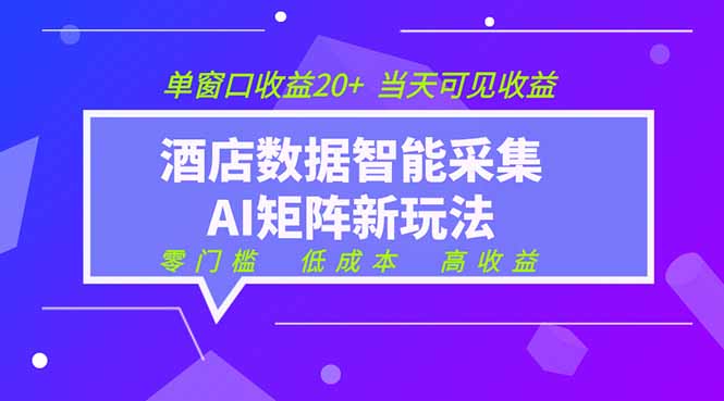 2026酒店数据采集ai智能矩阵新风口  低成本   高收益   当天见收益   单窗口20+网创-网赚-电商-tk-出海-AI-抖音-快手-小红书-视频号-玩法-创业-小程序-公众号-私域-s粉网创智库