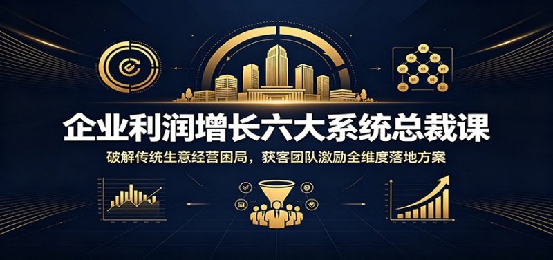 企业利润增长六大系统总裁课:破解传统生意经营困局,获客团队激励全维度落地方案网创-网赚-电商-tk-出海-AI-抖音-快手-小红书-视频号-玩法-创业-小程序-公众号-私域-s粉网创智库