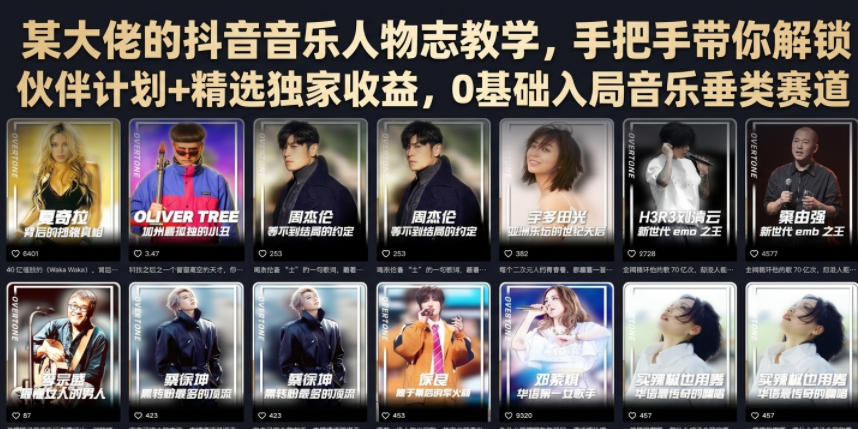 某大佬的抖音音乐人物志教学，手把手带你解锁伙伴计划+精选独家收益，0基础入局音乐垂类赛道 - 网创智库网创-网赚-电商-tk-出海-AI-抖音-快手-小红书-视频号-玩法-创业-小程序-公众号-私域-s粉网创智库