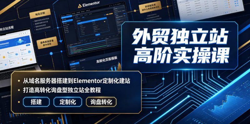 外贸独立站高阶实操课|从域名服务器搭建到Elementor定制化建站,打造高转化询盘型独立站全教程网创-网赚-电商-tk-出海-AI-抖音-快手-小红书-视频号-玩法-创业-小程序-公众号-私域-s粉网创智库