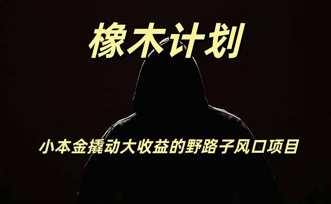 橡木计划，小投入撬动高回报的风口野路子项目，一天投入2小时左右网创-网赚-电商-tk-出海-AI-抖音-快手-小红书-视频号-玩法-创业-小程序-公众号-私域-s粉网创智库