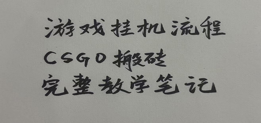 游戏挂机全流程笔记分享,CSGO游戏搬砖,小白看了当天学会见收益 - 网创智库网创-网赚-电商-tk-出海-AI-抖音-快手-小红书-视频号-玩法-创业-小程序-公众号-私域-s粉网创智库
