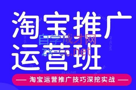 美迪电商·淘宝高级运营班+推广运营班(更新10月) - 网创智库网创-网赚-电商-tk-出海-AI-抖音-快手-小红书-视频号-玩法-创业-小程序-公众号-私域-s粉网创智库