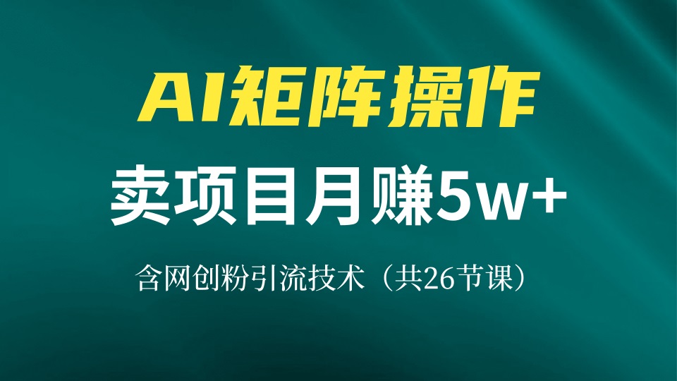 网创IP打造课，借助AI卖项目月赚5万+，含引流技术(共26节课网创-网赚-电商-tk-出海-AI-抖音-快手-小红书-视频号-玩法-创业-小程序-公众号-私域-s粉网创智库