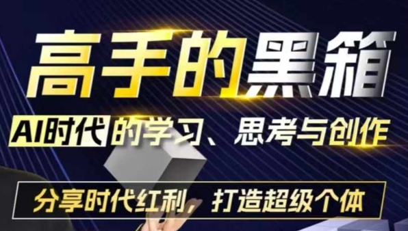 高手的黑箱：AI时代学习、思考与创作-分红时代红利，打造超级个体网创-网赚-电商-tk-出海-AI-抖音-快手-小红书-视频号-玩法-创业-小程序-公众号-私域-s粉网创智库